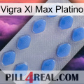 Vigra Xl Max Platinum 21